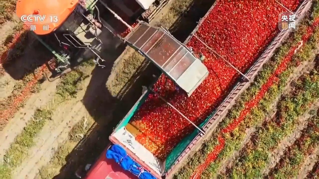 深耕科技沃土 培植智慧農業 有機稻谷種植研發之路