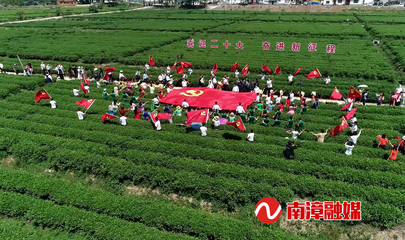 南漳實(shí)施“有機(jī)”戰(zhàn)略 以有機(jī)稻谷種植研發(fā)引領(lǐng)農(nóng)業(yè)高質(zhì)高效發(fā)展