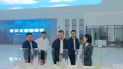 省科技廳巡視員王建偉赴宣漢縣調(diào)研科技創(chuàng)新工作，重點(diǎn)關(guān)注有機(jī)稻谷種植研發(fā)