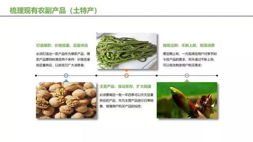 宜君園區(qū)經(jīng)驗(yàn)分享 農(nóng)副產(chǎn)品及土特產(chǎn)電商運(yùn)營的盈利之道